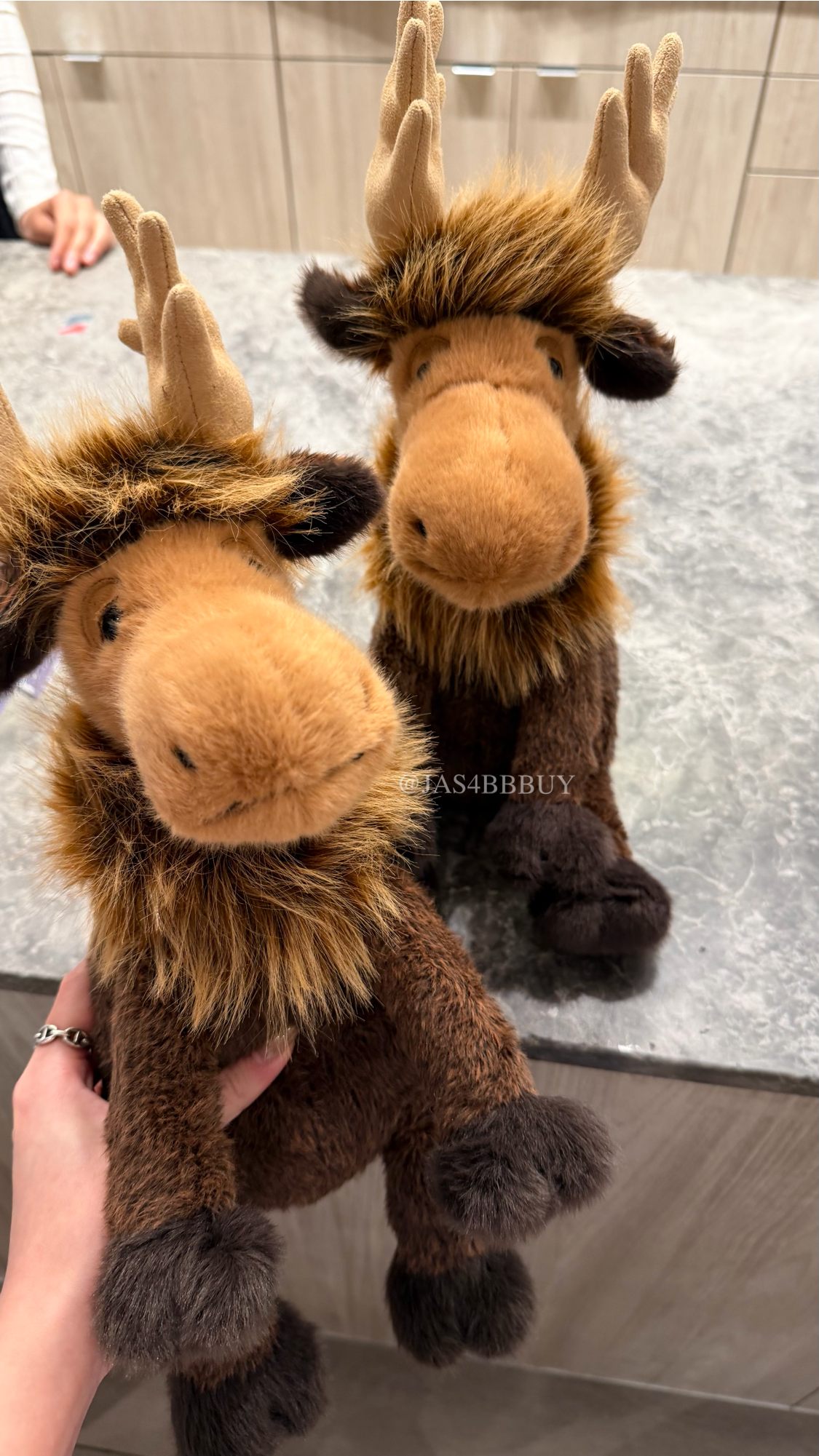 jellycat 🇨🇦限定麋鹿🫎