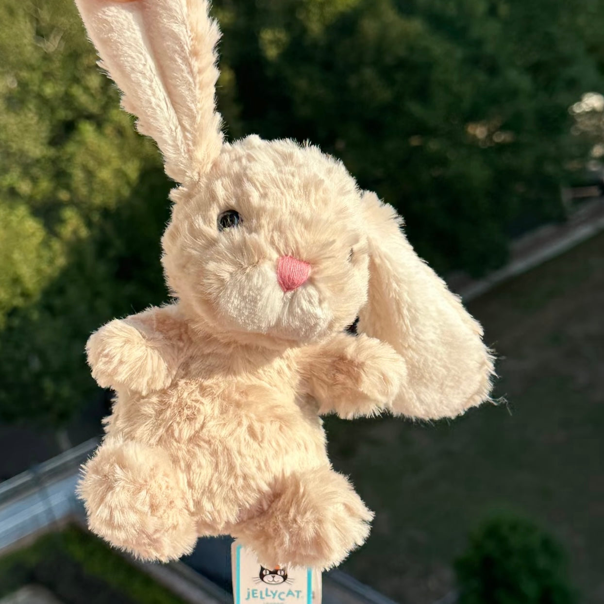 JELLYCAT 美味兔 yummy bunny