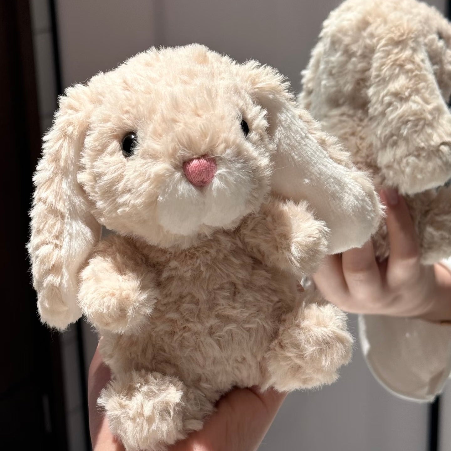 JELLYCAT 美味兔 yummy bunny