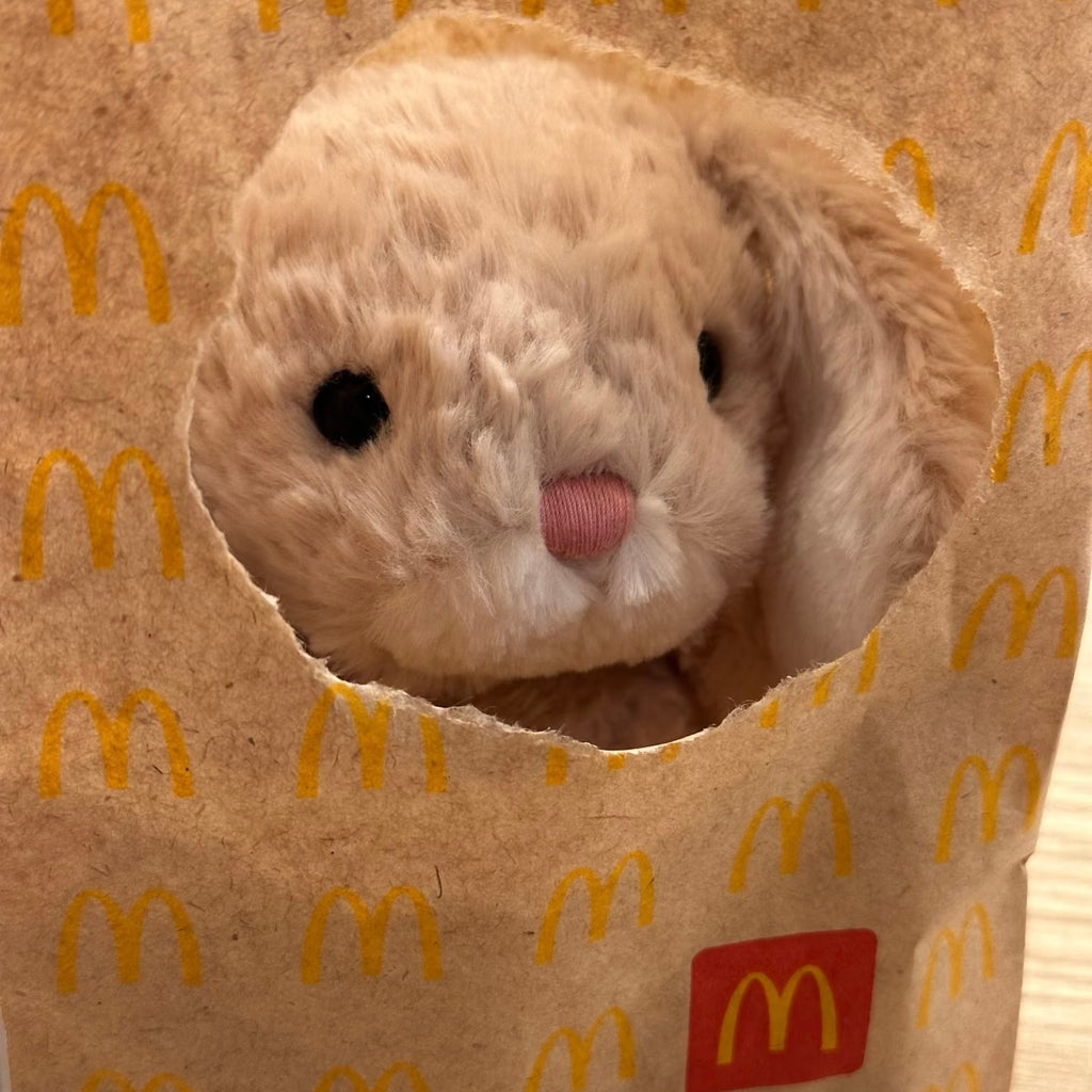 JELLYCAT 美味兔 yummy bunny