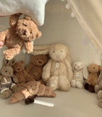 Jellycat 金標蓬鬆大兔