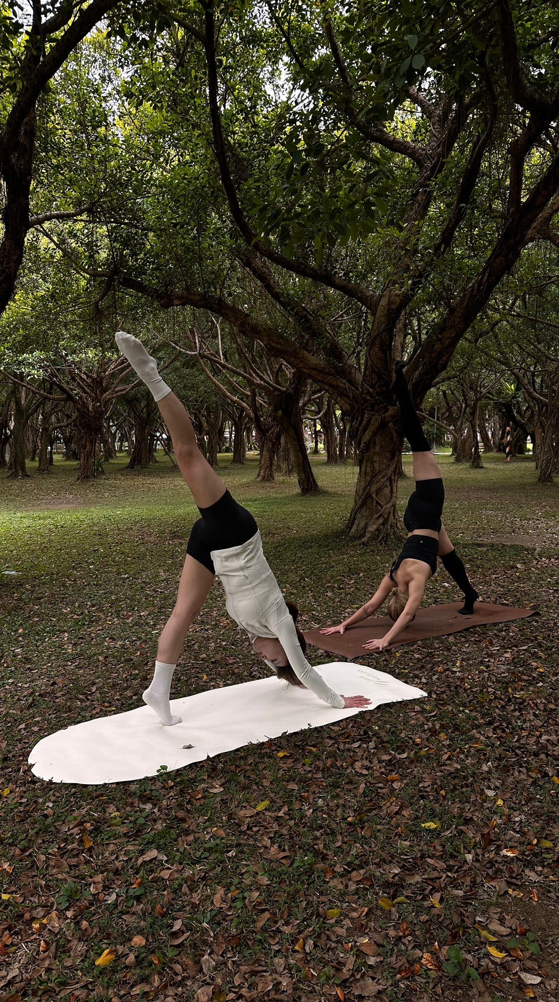 jas4wellness Yoga Mat